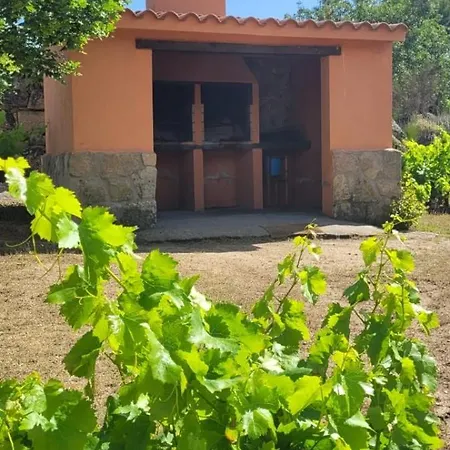 Amarilla Ávila